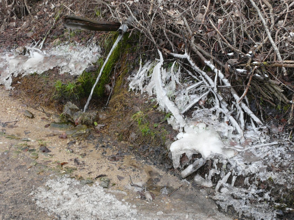 Rontalon, 01-02-09, 12-32.jpg
